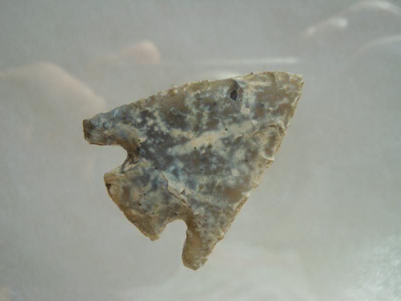 DSCN3239.jpg
