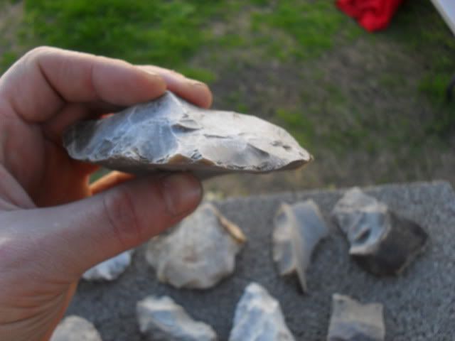 SDC10045.jpg