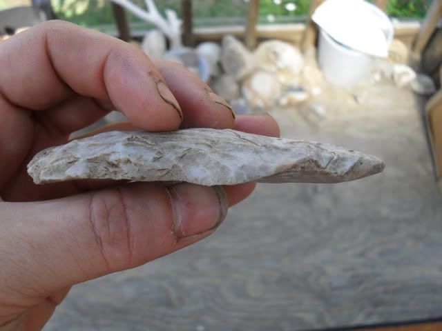 SDC10550.jpg