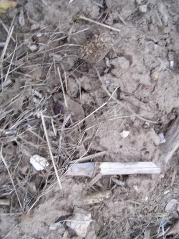 100_1092.jpg