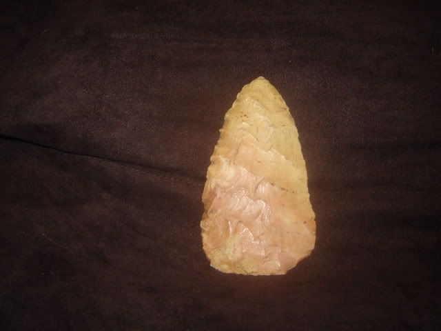 DSC03538.jpg