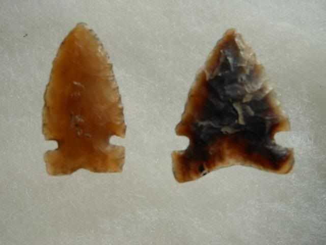 DSCN3235.jpg