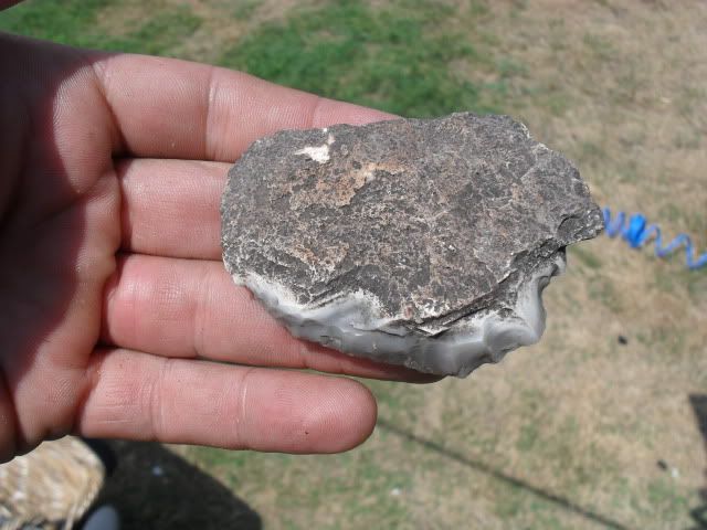 SDC17658.jpg