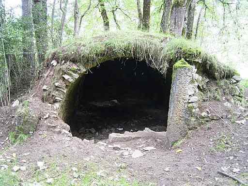 10Sep08cellar1.jpg