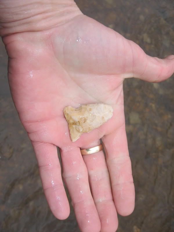 Arrowheads1-29-2010007.jpg