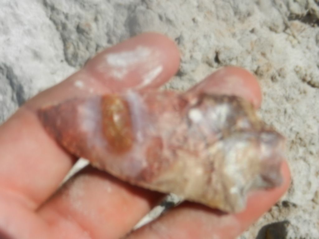 DSCN0561.jpg