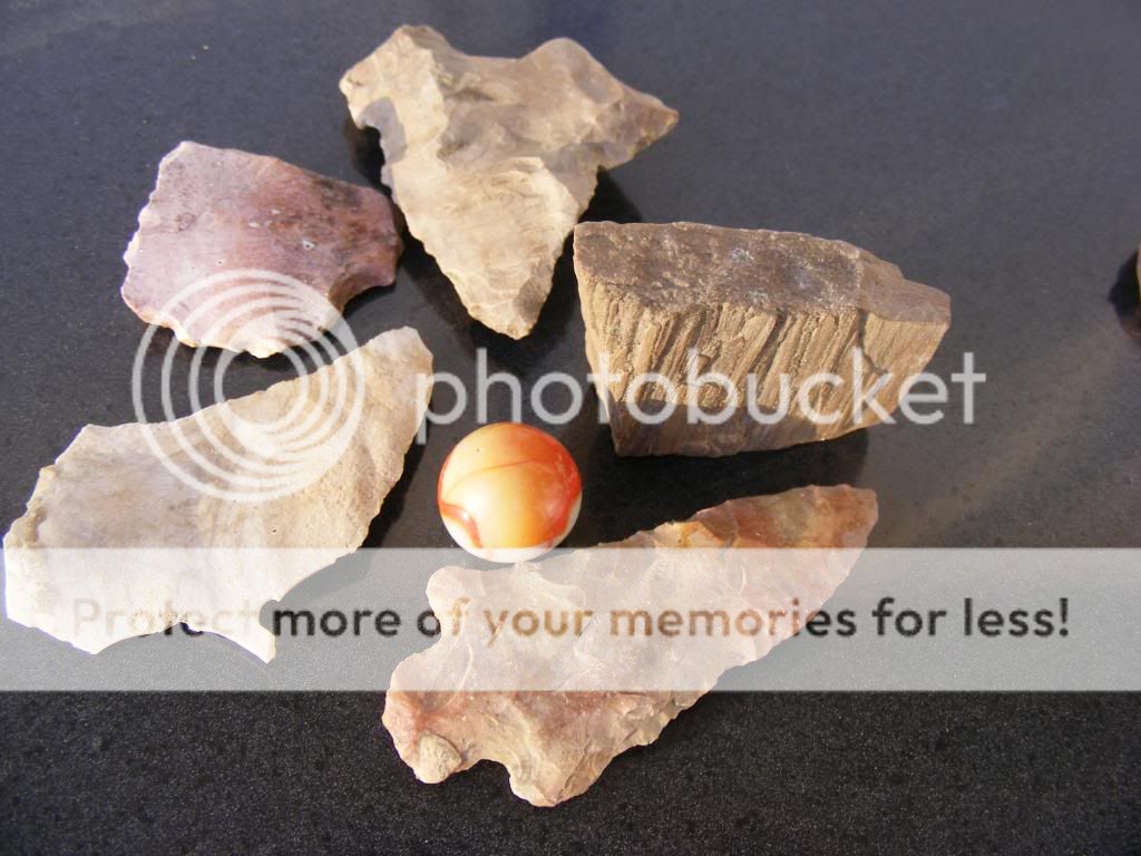 2009_03043-4-9heads0013.jpg