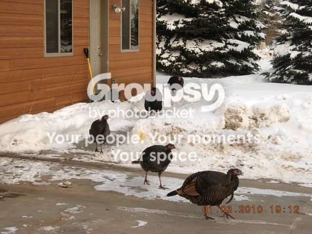 DSCN2235.jpg