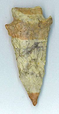 pentagonal1.jpg