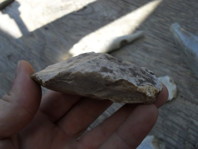 SDC10136.jpg