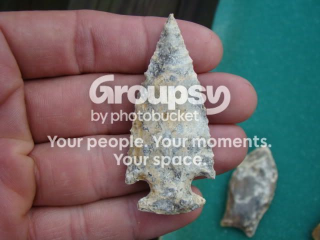 DSC08220.jpg