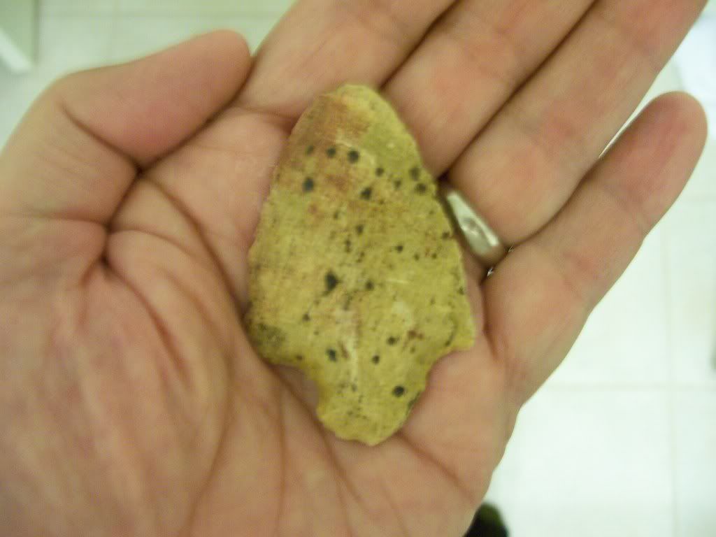 100_3056.jpg