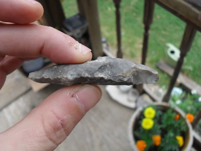 SDC10784.jpg