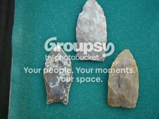 DSC08222.jpg