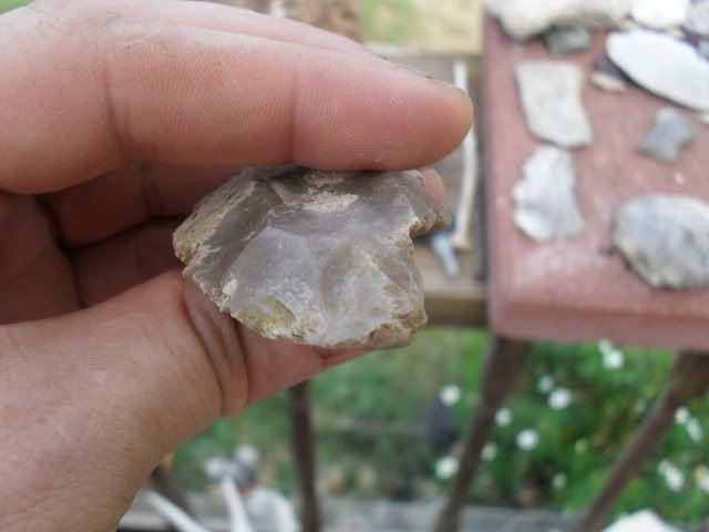 SDC10537.jpg