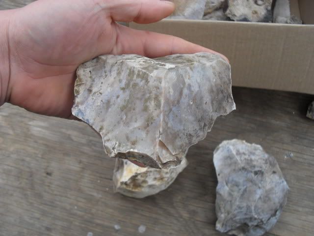 SDC10493.jpg