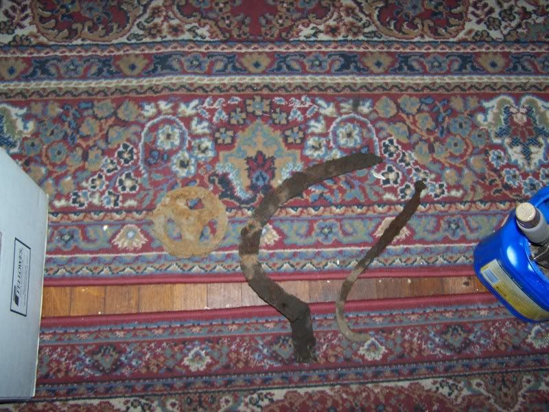 100_1207.jpg