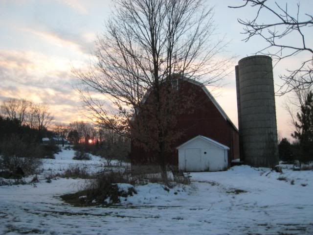 IMG_9468.jpg