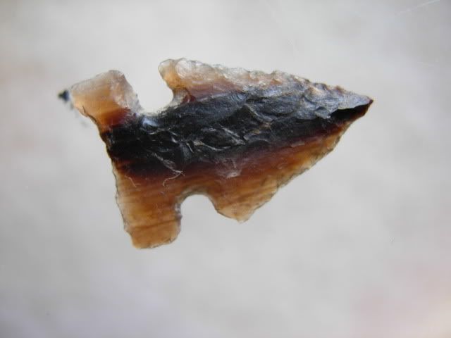 DSCN1380.jpg