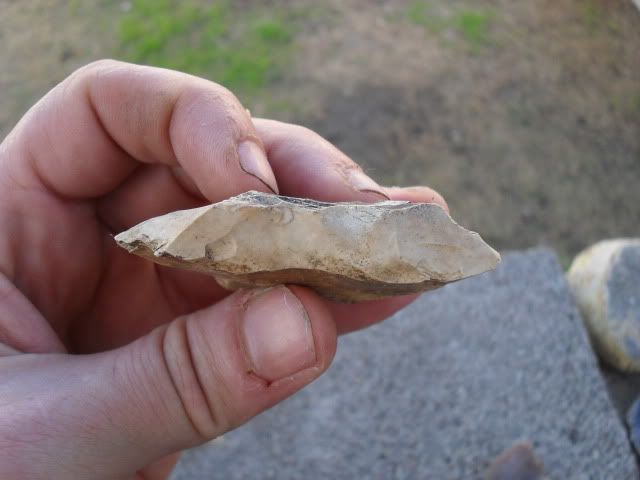 SDC10283.jpg