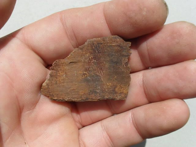 SDC10756.jpg