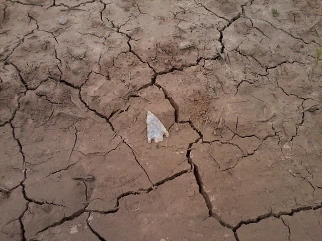 arrowhead1.jpg