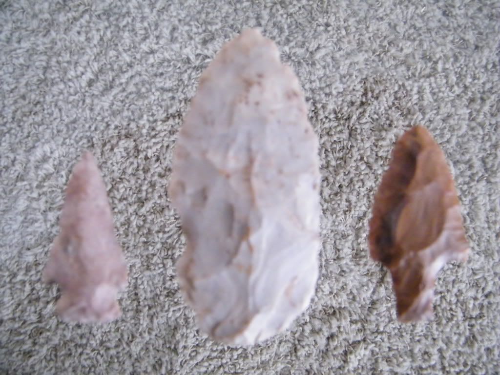 DSCF0076.jpg