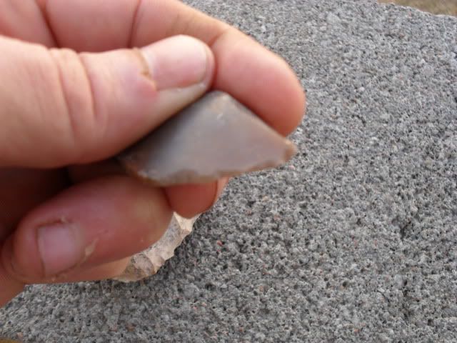 SDC10280.jpg