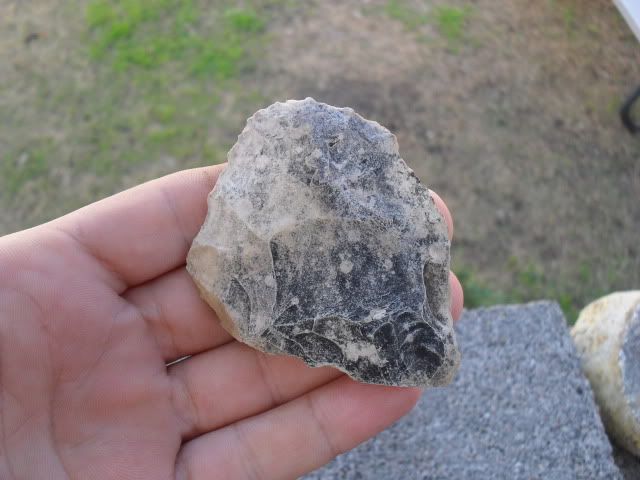 SDC10281.jpg