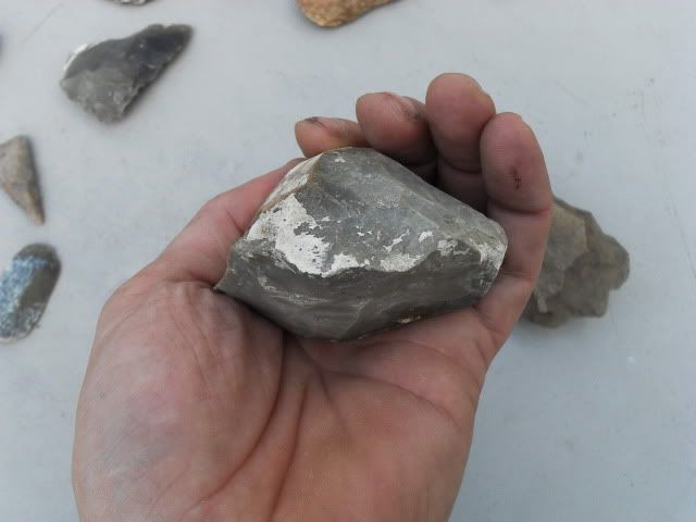 SDC11379.jpg