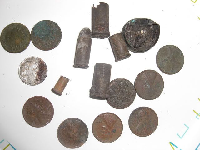 Metal-detecting-7.jpg