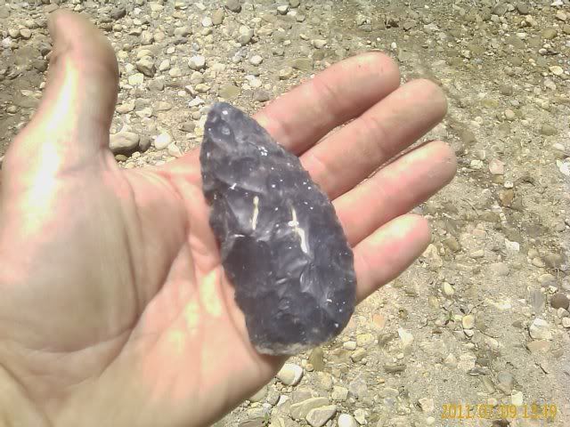 IMAGE_456.jpg