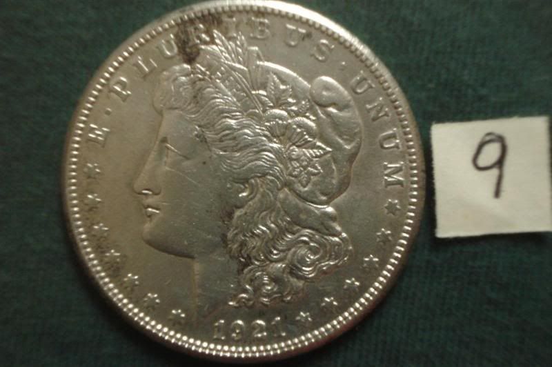SilverDollars09FLarge.jpg