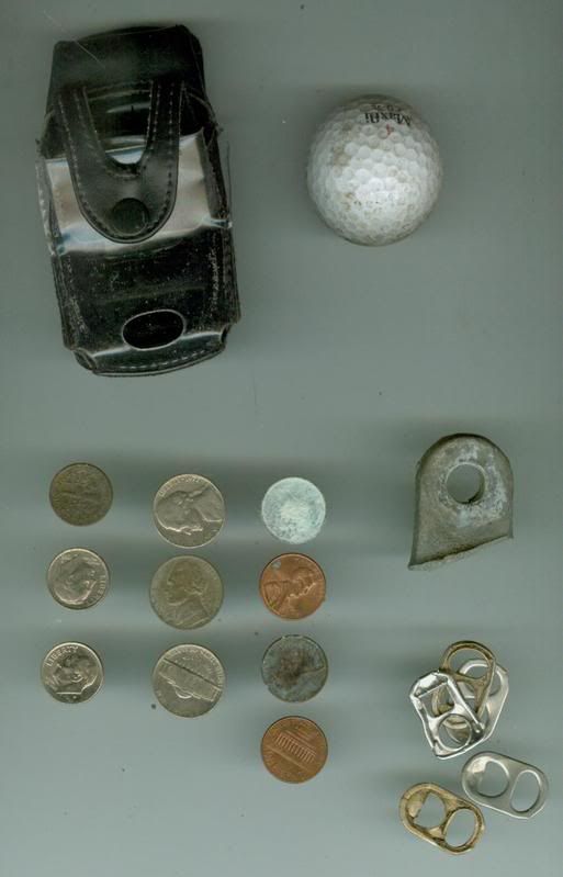 junknmoney041608.jpg