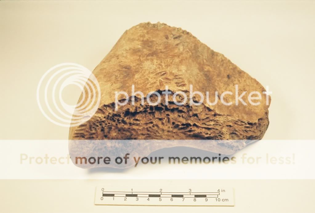 MUSEUMANDMYCOLLECTION211.jpg
