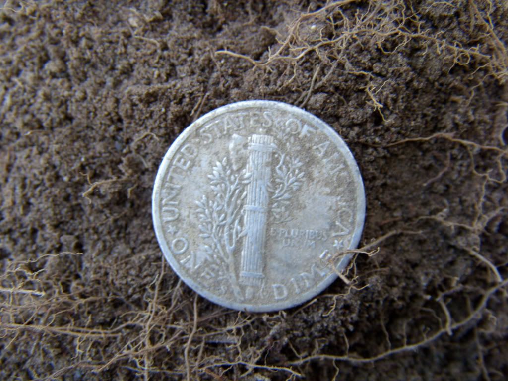 SI850305.jpg