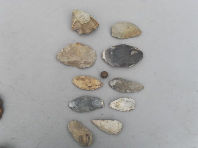 SDC11474.jpg
