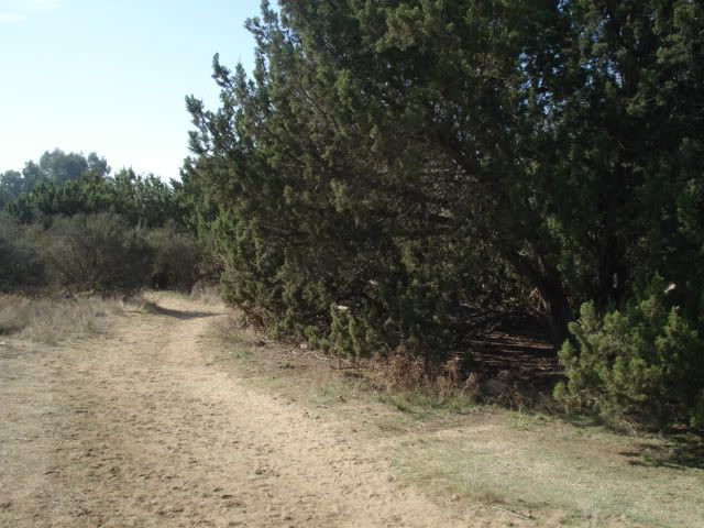 DSC04005.jpg