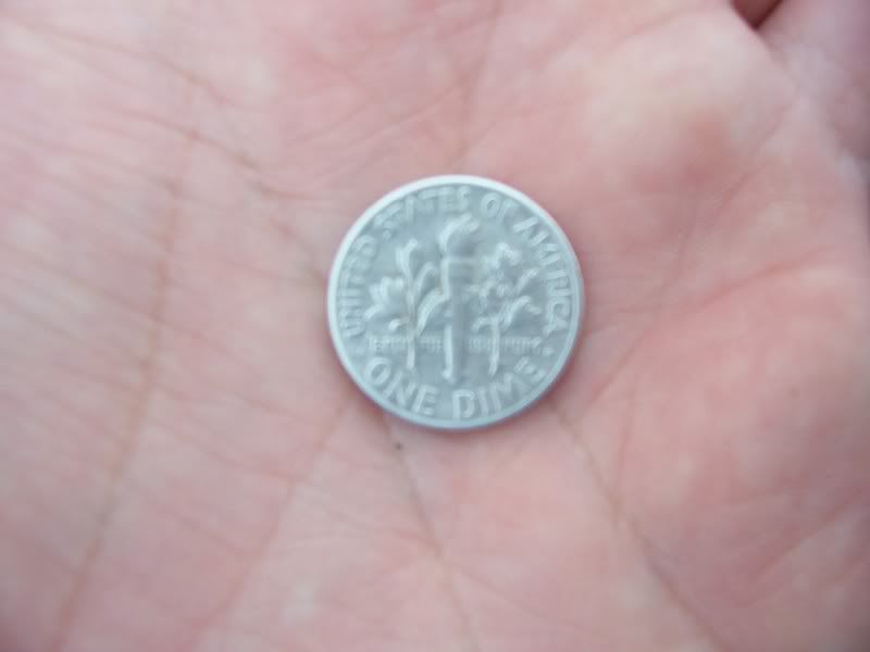 100_1907.jpg
