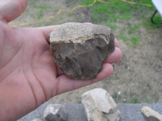 SDC10382.jpg