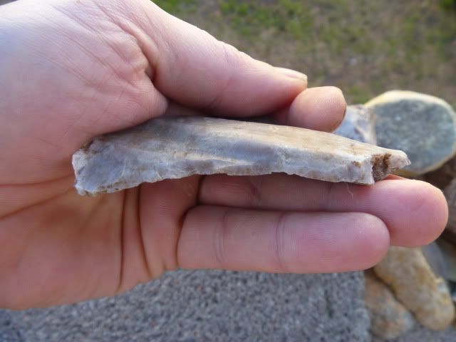 P1010150.jpg