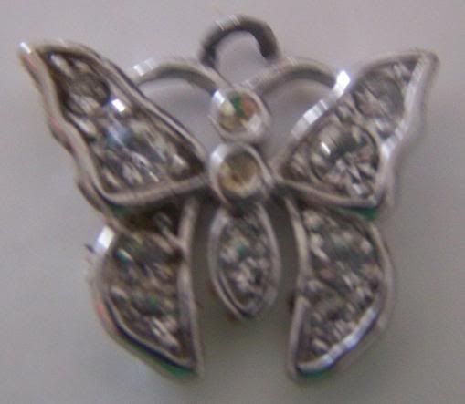 Charmbutterfly050609.jpg