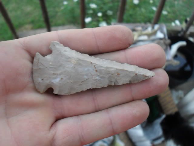 SDC10833.jpg