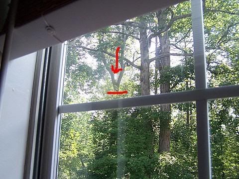 100_1378.jpg
