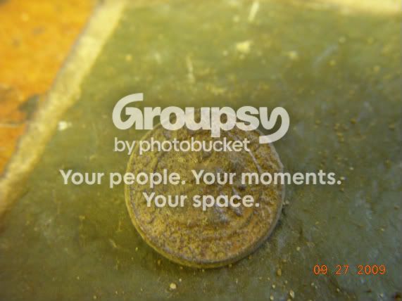 DSCN4198.jpg