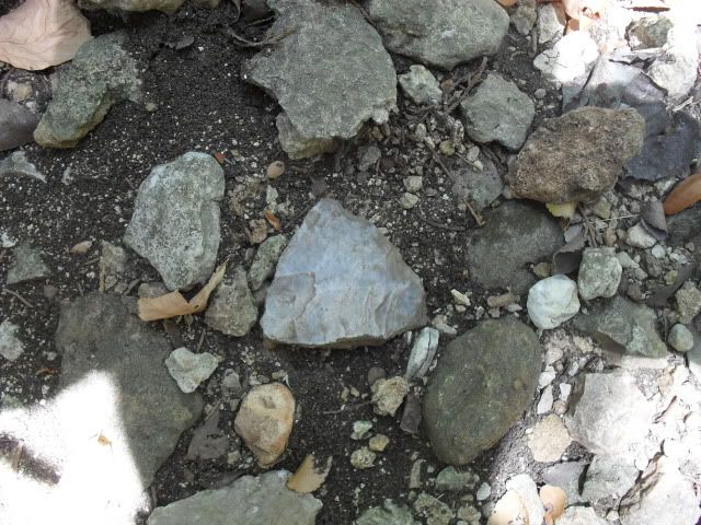 SDC10090.jpg
