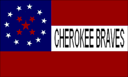250px-Bravesflag.png