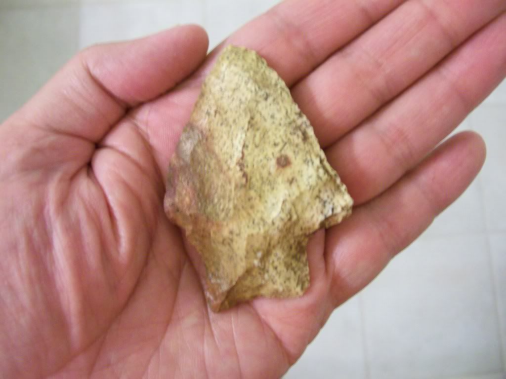 100_3067.jpg