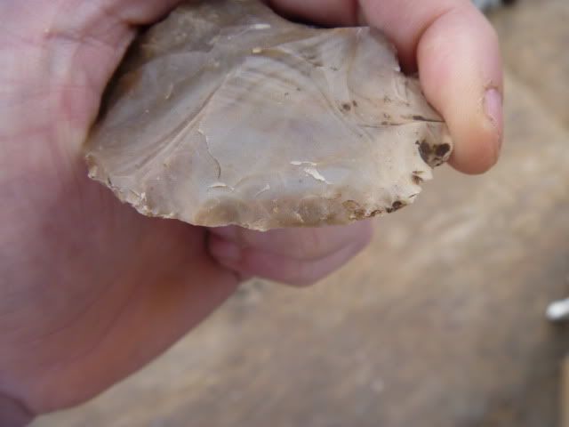 P1010054.jpg