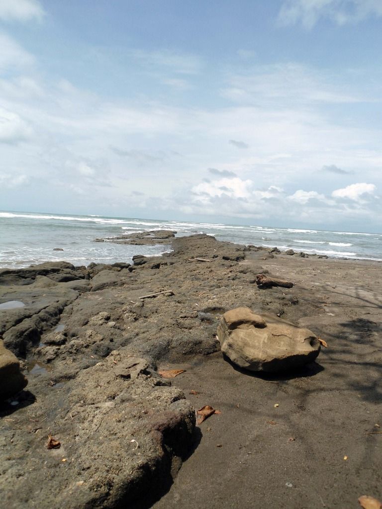 DSC00626.jpg